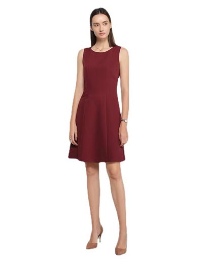 cshp-luxurious-feeling dress- 148(1)